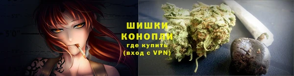 хмурый Осинники
