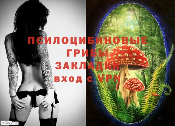 бутират Алексеевка