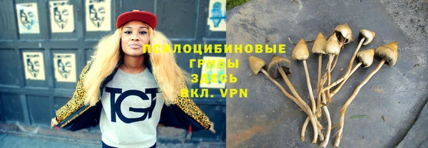spice Алзамай