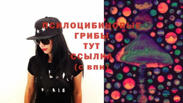 spice Алзамай
